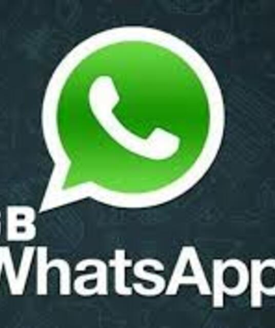 avatar GB Whatsapp Pro